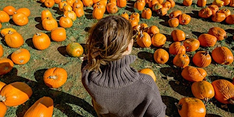 Pumpkin Prowl primary image