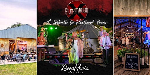 FLEETWOOD MAC covered by Fleetwood X-- plus great TX wine & craft beer primary image
