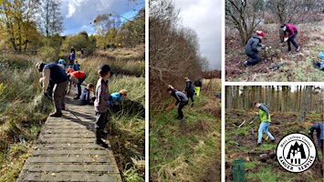 Conservation Volunteers - Beecraigs Country Park primary image