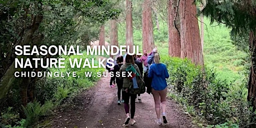 Imagem principal de Seasonal Mindful Nature Walk