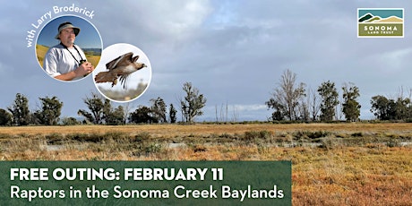 Imagem principal do evento Raptor walk in the Sonoma Creek Baylands 2-11-24