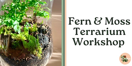 Fern and Moss Terrarium Workshop primary image