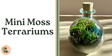St. Patrick's Day Mini Moss Terrariums primary image