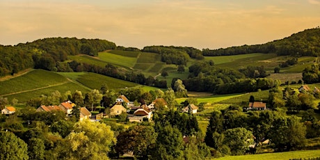 Hauptbild für Explore the Jura, France's Best Kept Wine Secret