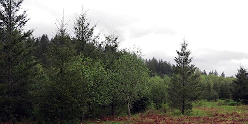 Hauptbild für Forest Management Assistance Programs Workshop