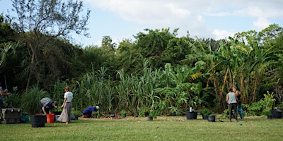 ChoZen Farm x Fleet Farming ~ Volunteer Day primary image