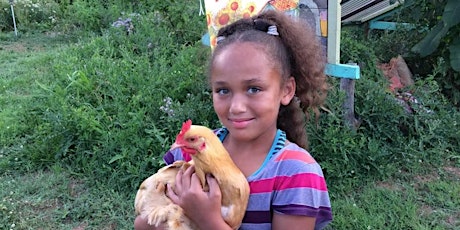 Backyard Chickens 101