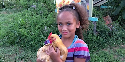 Primaire afbeelding van Backyard Chickens 101