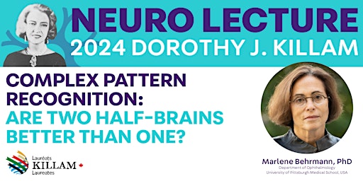 Hauptbild für Complex Pattern Recognition: Are Two Half-Brains Better Than One?