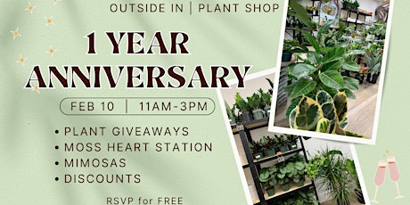 1 Year Anniversary | Plant Shop Party primary image