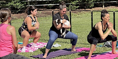 Imagen principal de Spring Goat Yoga