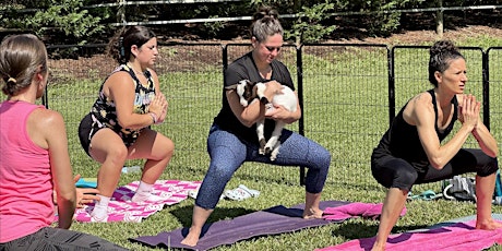 Goat Yoga- Afternoon Session