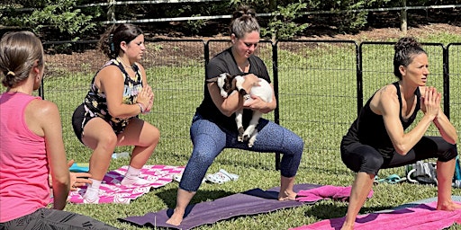 Imagem principal do evento Goat Yoga