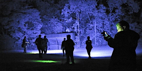 Blue Mountains Ghost Bus Tour