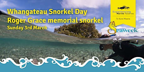 Whangateau Snorkel Day primary image