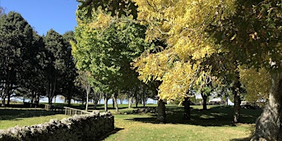 Guided Walk: Autumn Ecology primary image