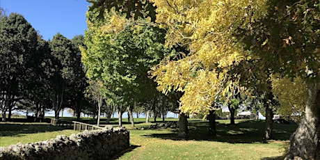 Guided Walk: Autumn Ecology