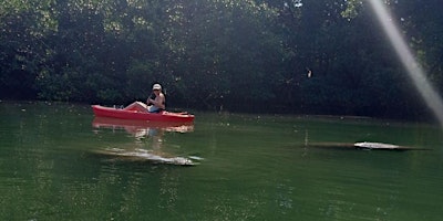 Imagem principal do evento Manatee Season Guided Paddle Tour