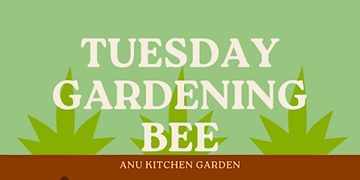 Primaire afbeelding van Gardening Bee @ The Plot