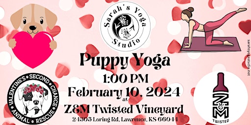 Valentine's Puppy Yoga at Z&M Twisted Vineyard primary image