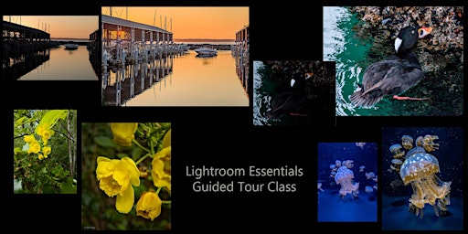 Hauptbild für Lightroom Essentials Guided Tour