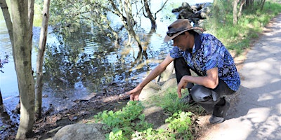 Imagen principal de Heritage Festival 2024: The First Nations and Natural Heritage Swamp Tour