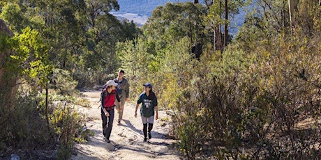 Orroral Heritage Track Guided Walk