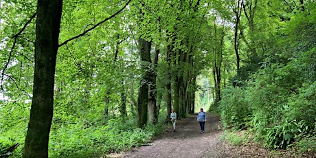 Hauptbild für Wellbeing walk - what is forest bathing?