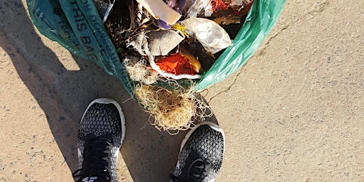 Imagen principal de Beach Clean on South Bay Beach (Free)