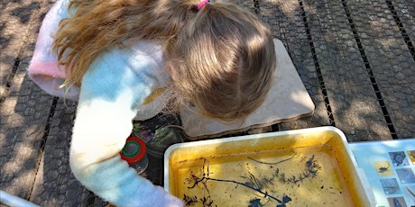 Dyke Dipping at NWT Hickling Broad (EDU FAMILY)