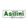Logótipo de Asilini Kenya - Be in nature