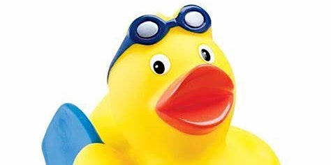 Imagem principal do evento Dymock Duck Race