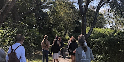 Hauptbild für Medicinal Plant Walk