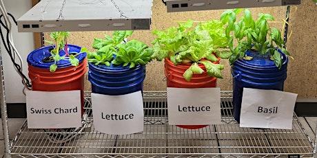 Intro to Hydroponics: Gardens to Greenhouses -IN PERSON 3/2/24 primary image