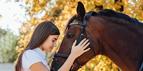 Experiencia única con los caballos: cuidado, aprendizaje y doma.