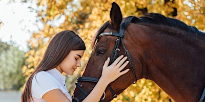 Primaire afbeelding van Experiencia única con los caballos: cuidado, aprendizaje y doma.