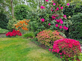 Hauptbild für Open Garden and bonsai demonstration