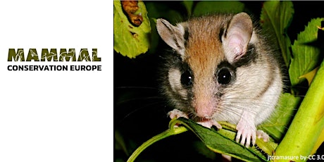 Mammal Conservation Europe's First Annual Meeting