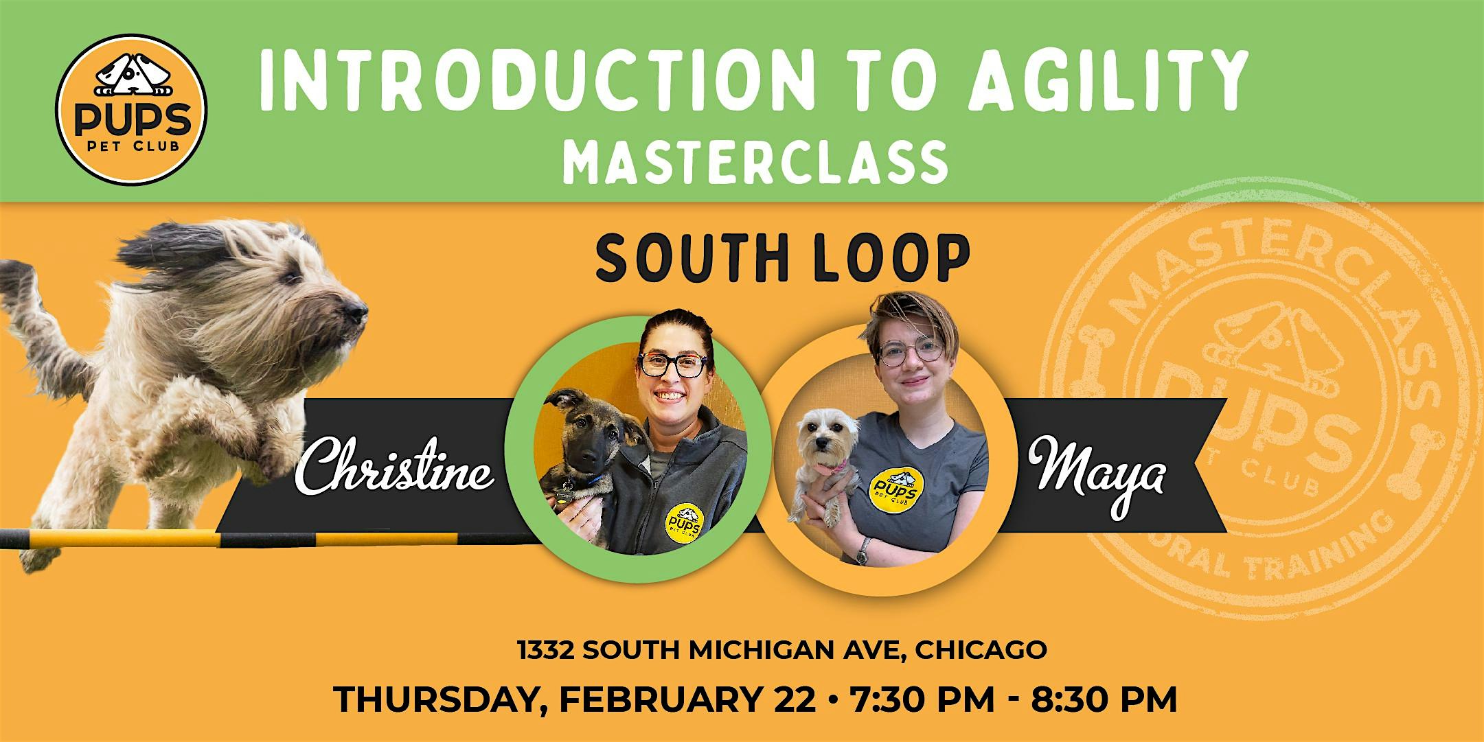 Introduction to Agility for Dogs – SOUTH LOOP 22