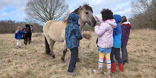 Children's Wildlife Watch - Pony checks primary image