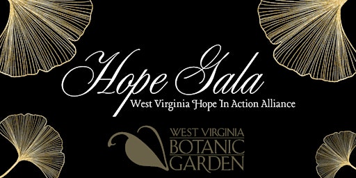 Hope Gala primary image