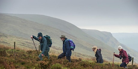 Guided Walk at Mynydd Ffoesidoes