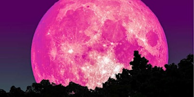 Hauptbild für Pink Full Moon Sound Bath BY DONATION