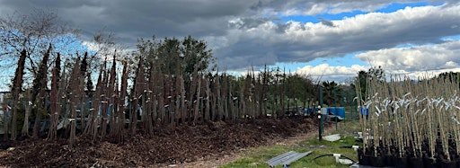 Collection image for Bare Roots at the Nursery