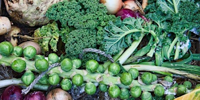 Growing Cool Season Vegetables on the SF Peninsula
