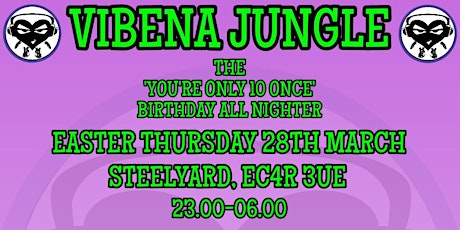 Vibena Jungle ‘You’re Only 10 Once’ Birthday Bash