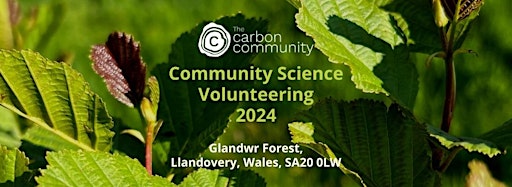 Bild für die Sammlung "The Carbon Community | Community Science 2024"