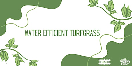 Image principale de Water Efficient Turfgrass