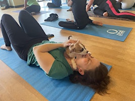 DNYP-+Puppy+Poses+at+Hydrogen+Fitness