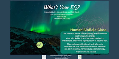 Imagen principal de Human Biofield Class - Part I